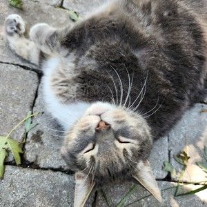 Meet your Posher, Tamara